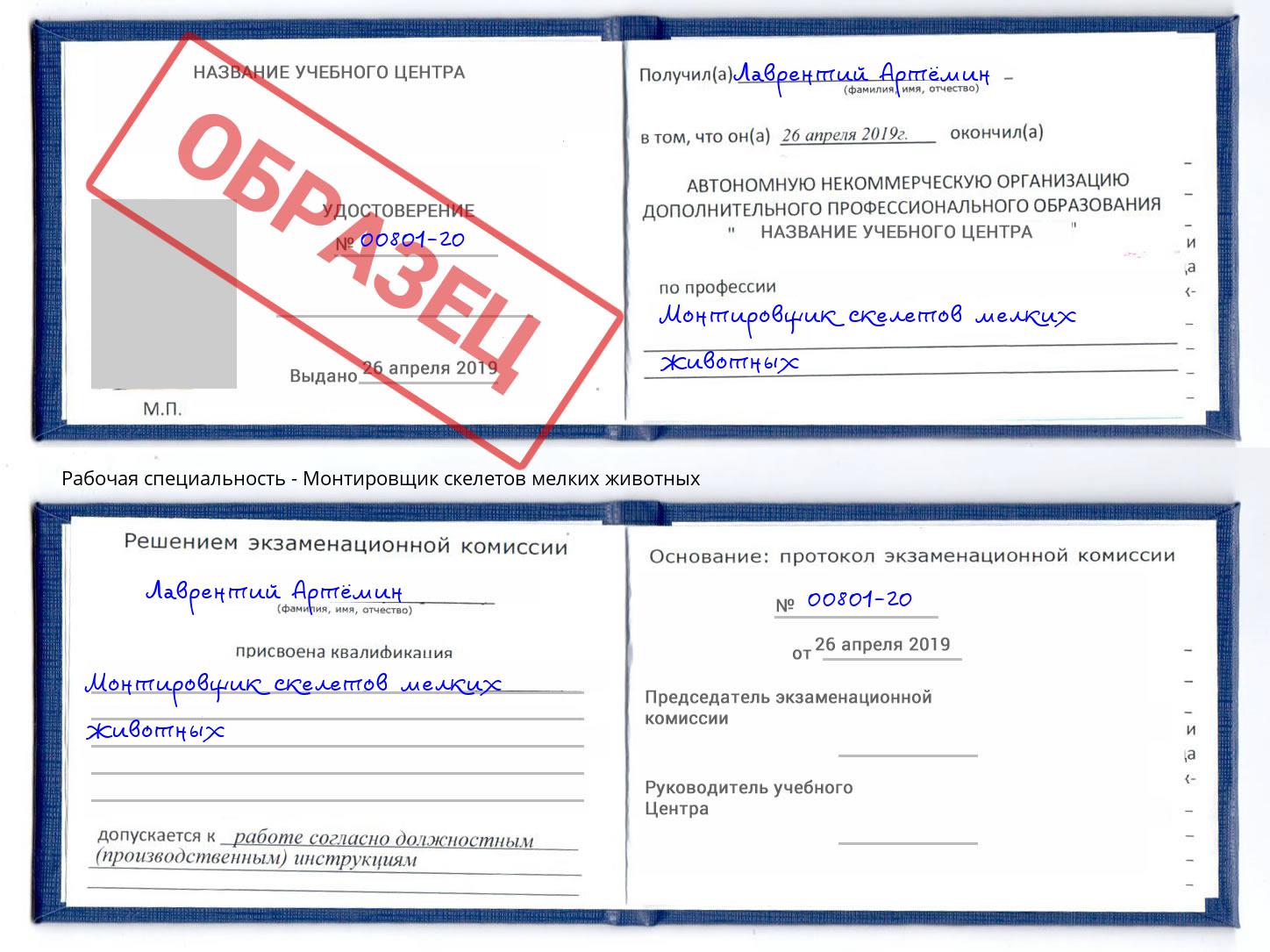 Монтировщик скелетов мелких животных Апшеронск